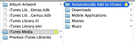 radioactiviteit Lichaam Koken Using the Automatically Add to iTunes Folder: Tips and Tricks - Poor  Audiophile